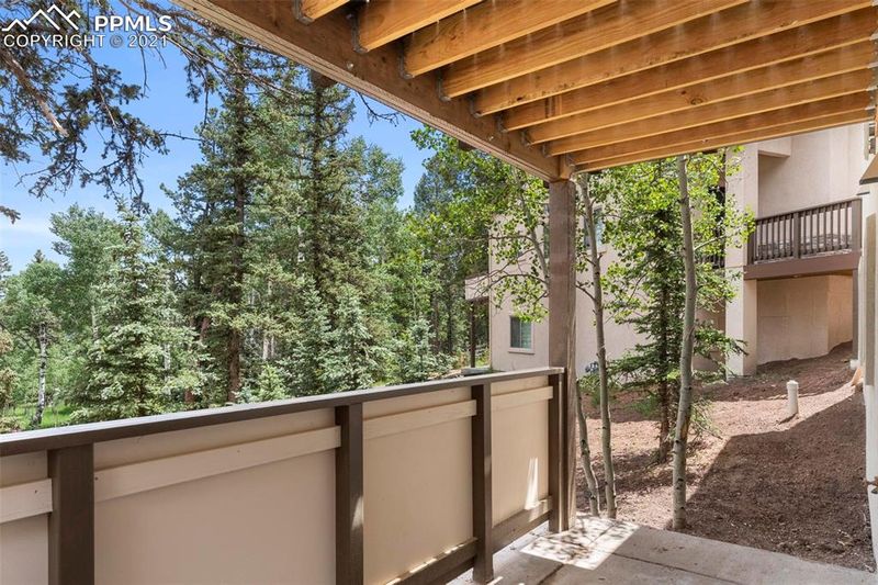 196 Shannon Pl, Divide, CO 80814