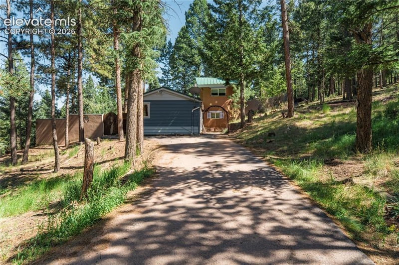 196 Summer Haven Dr, Woodland Park, CO 80863