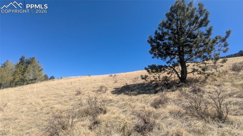 1960 Troy Dr, Cripple Creek, CO 80813