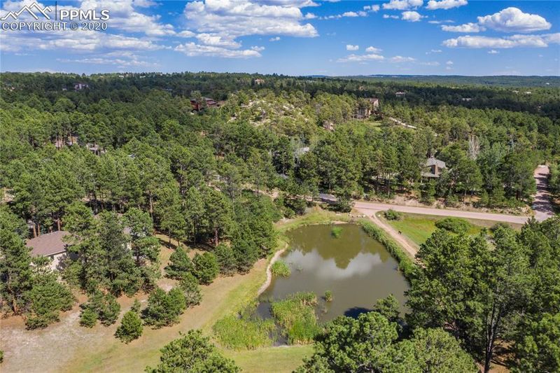 19615 Hidden Springs Glen, Monument, CO 80132