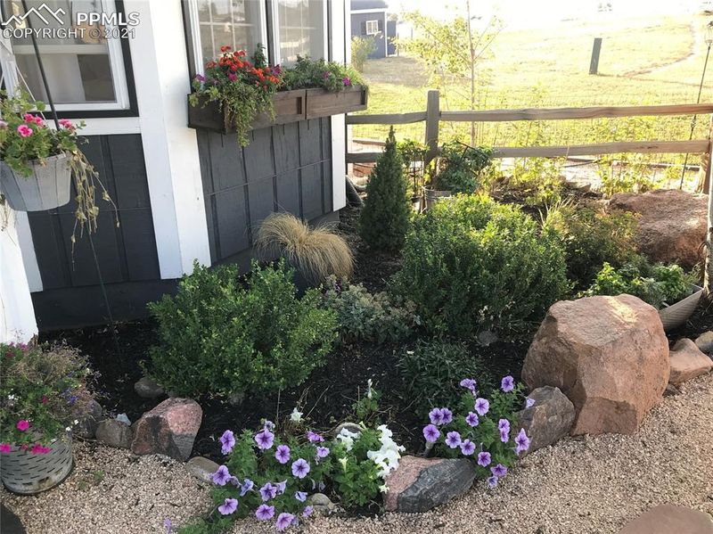 19631 E Thunder Rd, Colorado Springs, CO 80908