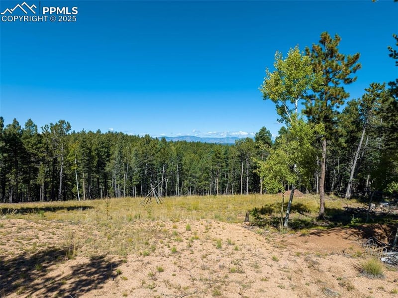 197 Parkview Dr, Woodland Park, CO 80863