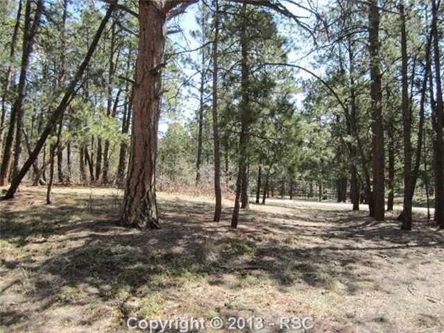 19700 E Top O The Moor Dr, Monument, CO 80132