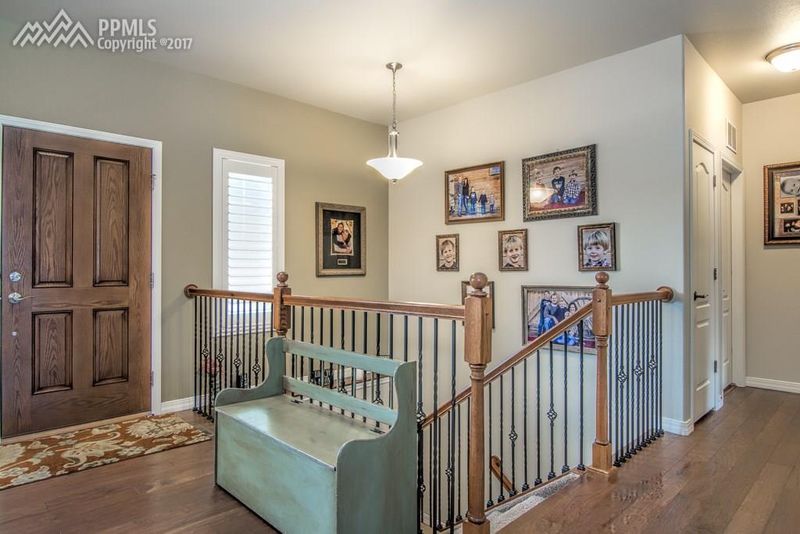 19713 Serenity Springs Point, Monument, CO 80132