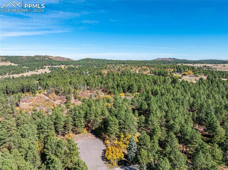 19725 Via Verde Ln, Monument, CO 80132