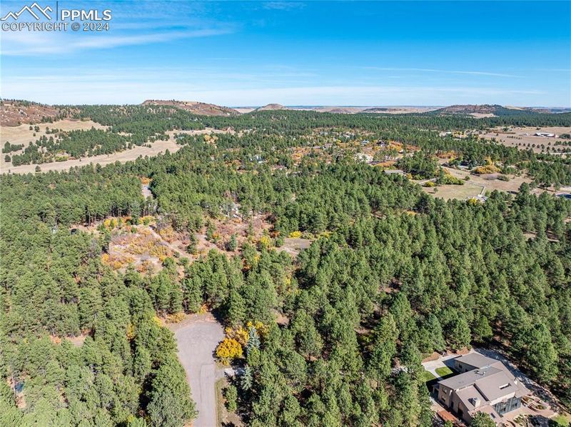 19725 Via Verde Ln, Monument, CO 80132