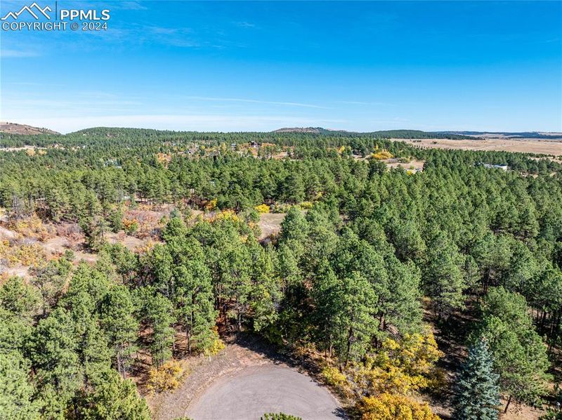 19725 Via Verde Ln, Monument, CO 80132