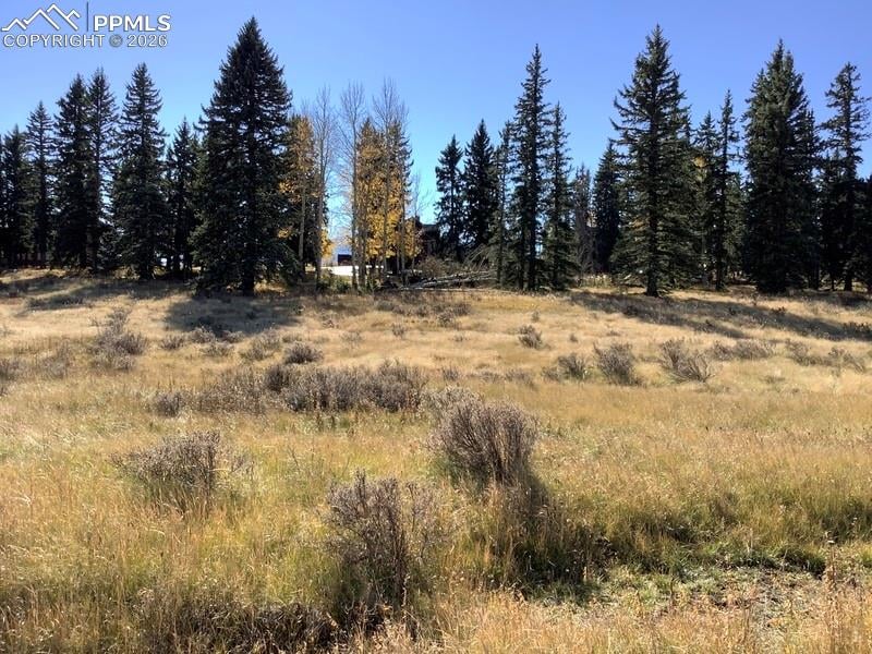 199 Joshua Rd, Divide, CO 80814