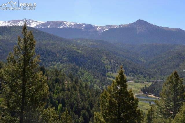 199 Running Elk Point, Divide, CO 80814