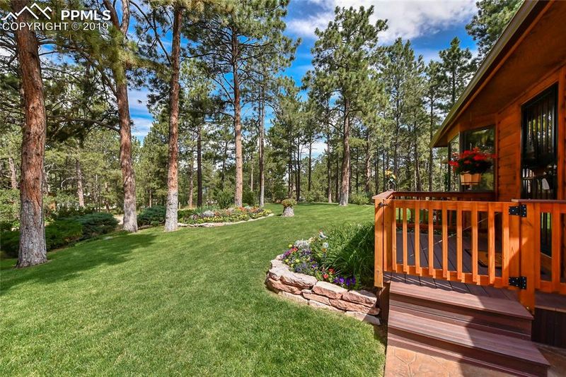 19955 Silver Horn Ln, Monument, CO 80132