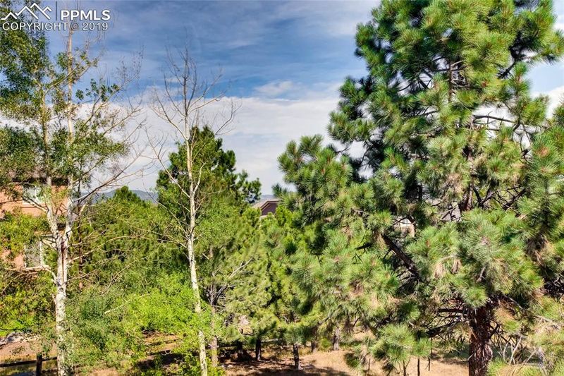19960 Doewood Dr, Monument, CO 80132