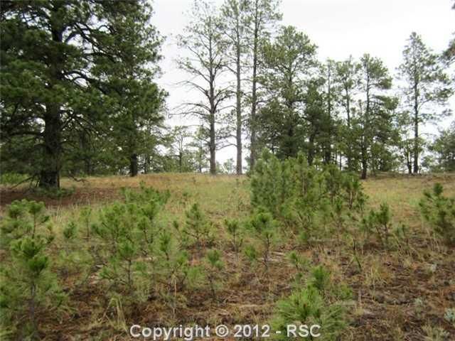 19965 Warriors Pa, Peyton, CO 80831