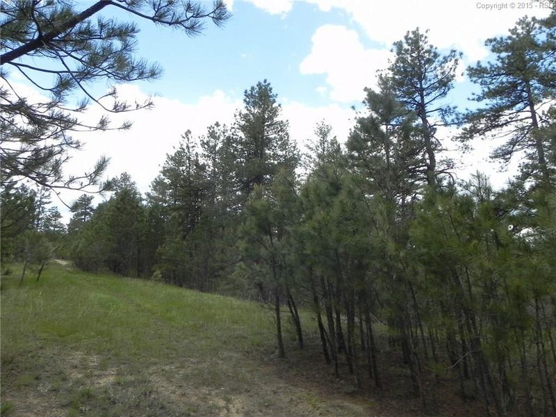 1999 Spring Beauty Ln, Larkspur, CO 80118