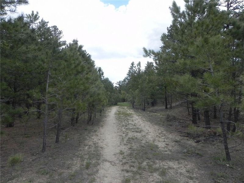 1999 Spring Beauty Ln, Larkspur, CO 80118