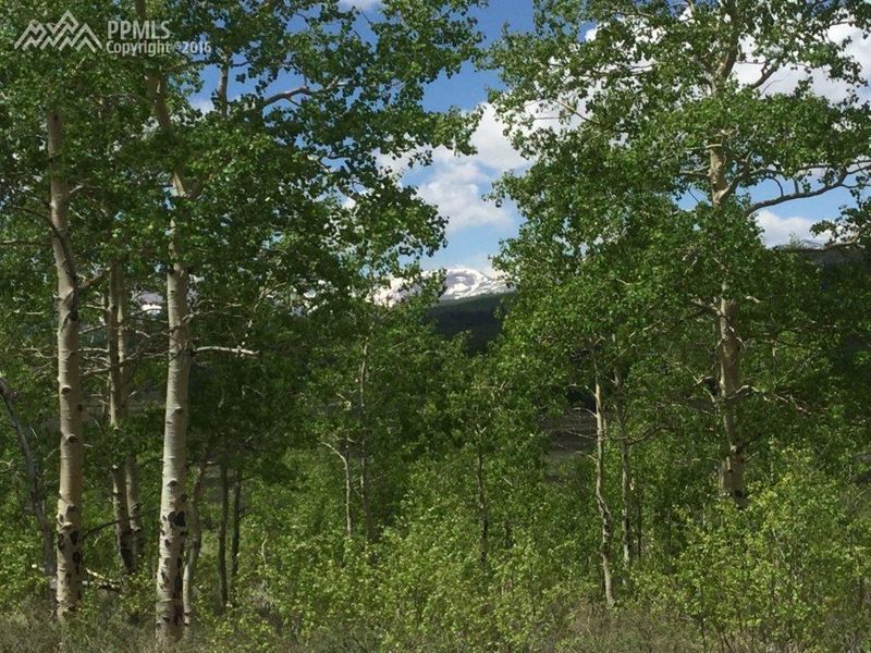 2 Highway 285 Hw, Fairplay, CO 80440