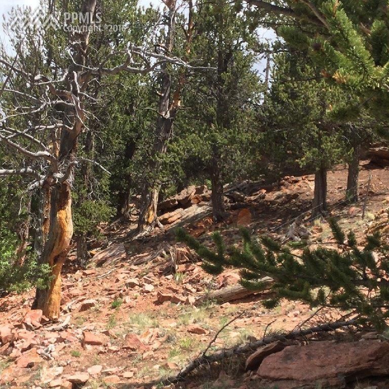 2 Highway 285 Hw, Fairplay, CO 80440