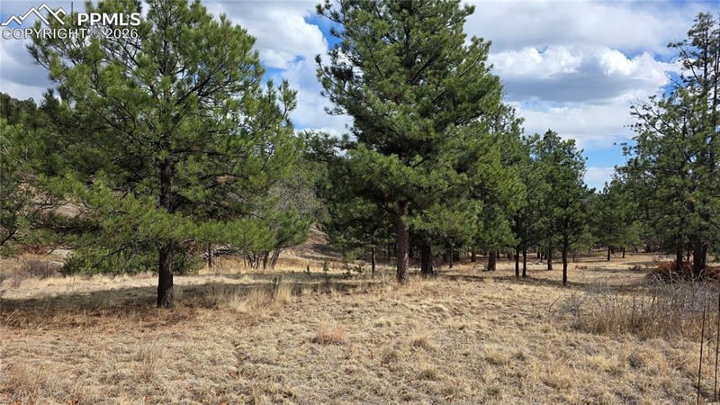 2002 Comanche Cir, Florissant, CO 80816