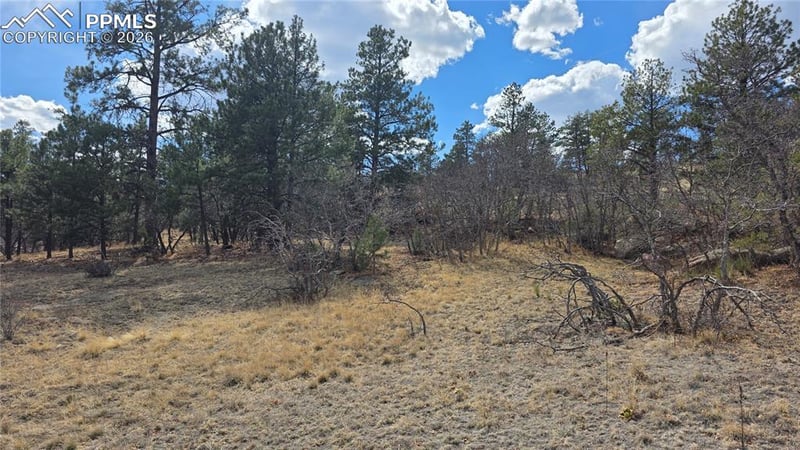 2002 Comanche Cir, Florissant, CO 80816