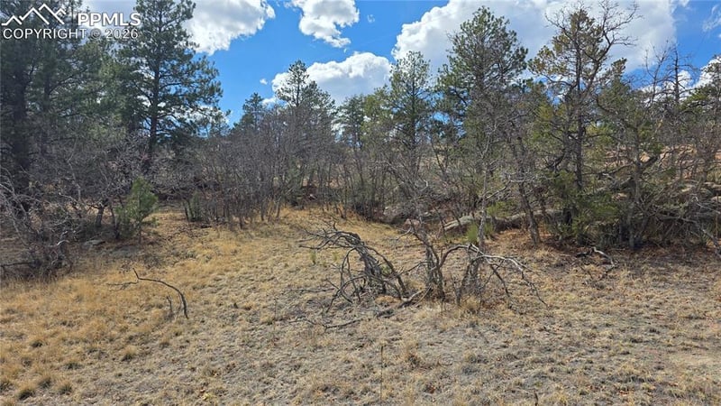 2002 Comanche Cir, Florissant, CO 80816