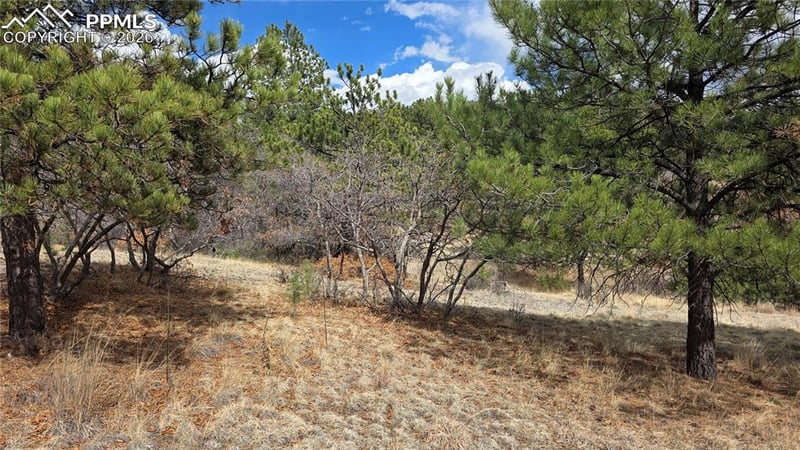 2002 Comanche Cir, Florissant, CO 80816