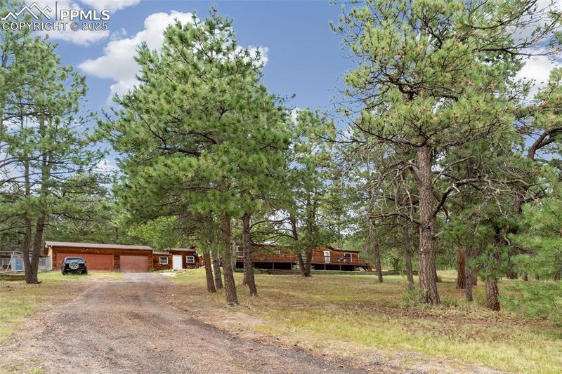 20020 Teacup Grv, Peyton, CO 80831