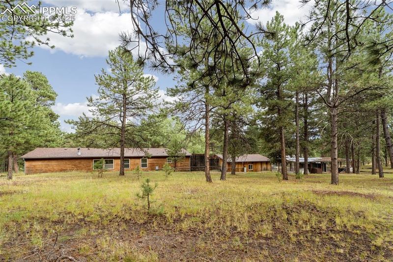 20020 Teacup Grv, Peyton, CO 80831