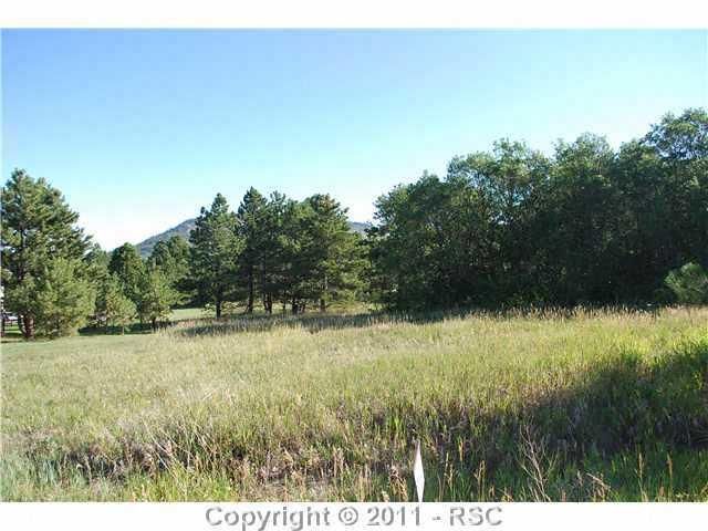 20025 Chisholm Trl, Monument, CO 80132