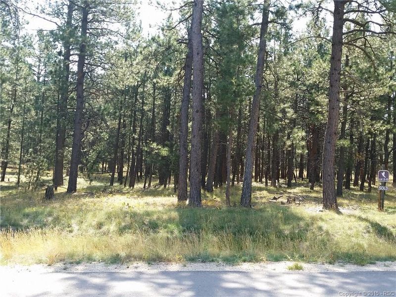 20025 Roaming Dr, Colorado Springs, CO 80908