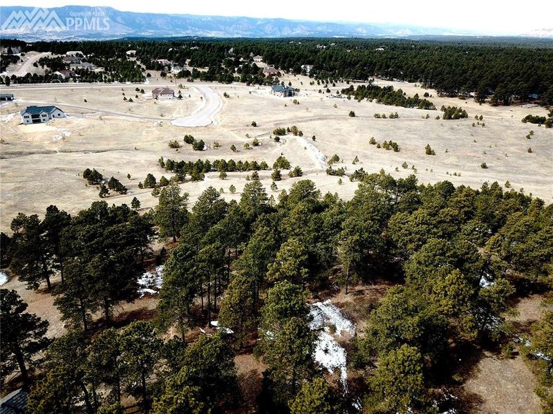 2006 Mahaffie Ct, Monument, CO 80132