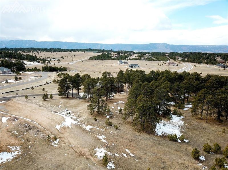 2006 Mahaffie Ct, Monument, CO 80132