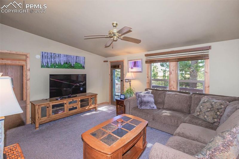 201 Honeysuckle Rd, Woodland Park, CO 80863