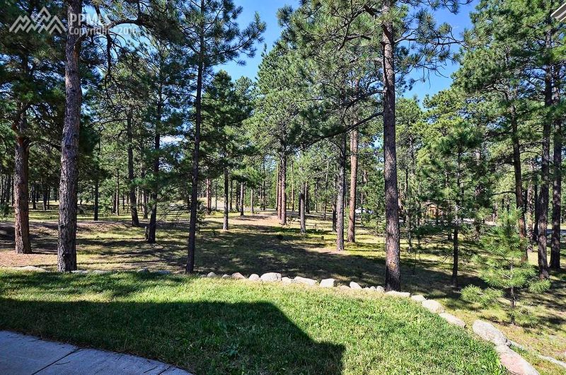 20125 Twisted Pine Dr, Colorado Springs, CO 80908
