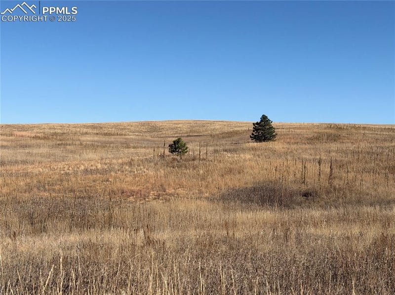 20155 Thunder Rd, Colorado Springs, CO 80908