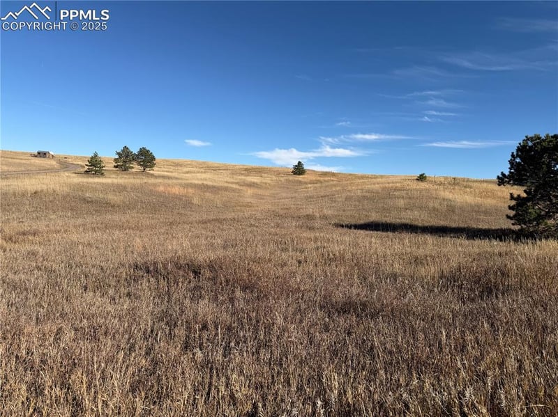 20155 Thunder Rd, Colorado Springs, CO 80908