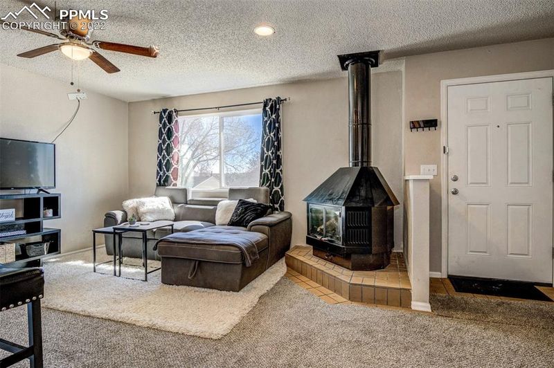 2017 Erin Loop, Colorado Springs, CO 80918