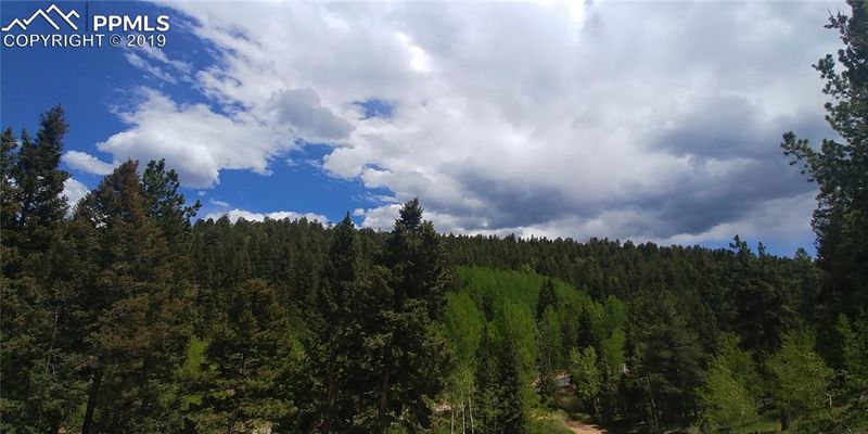 2021 Edlowe Rd, Woodland Park, CO 80863