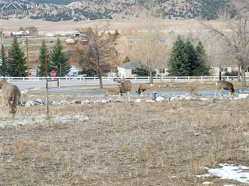 204 Loop Dr, Howard, CO 81233