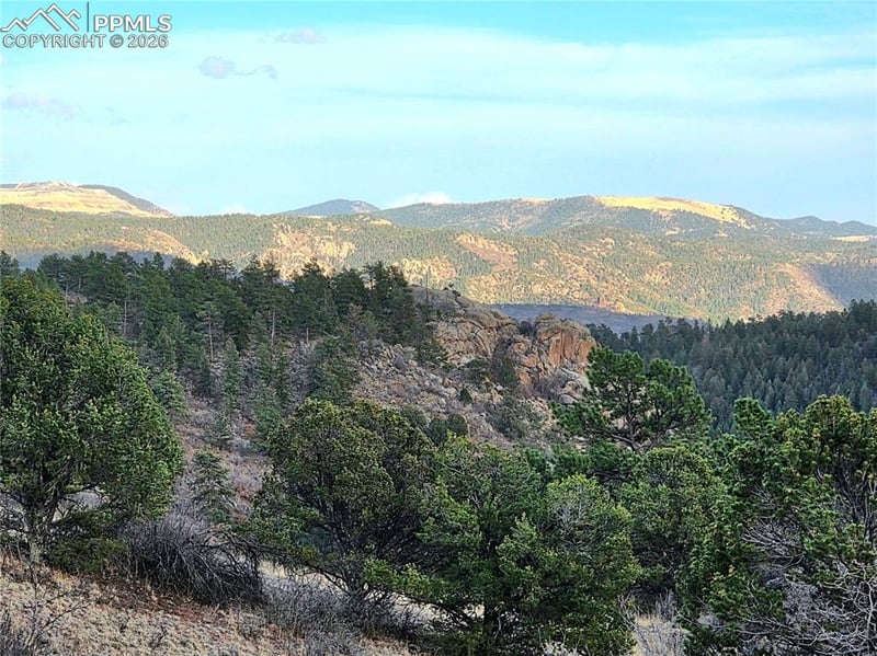 204 Pine Rd, Florissant, CO 80816