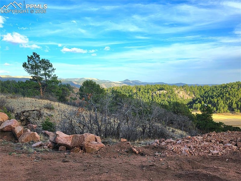 204 Pine Rd, Florissant, CO 80816