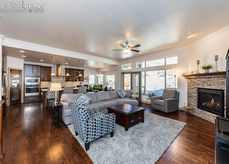 205 Coyote Willow Dr, Colorado Springs, CO 80921