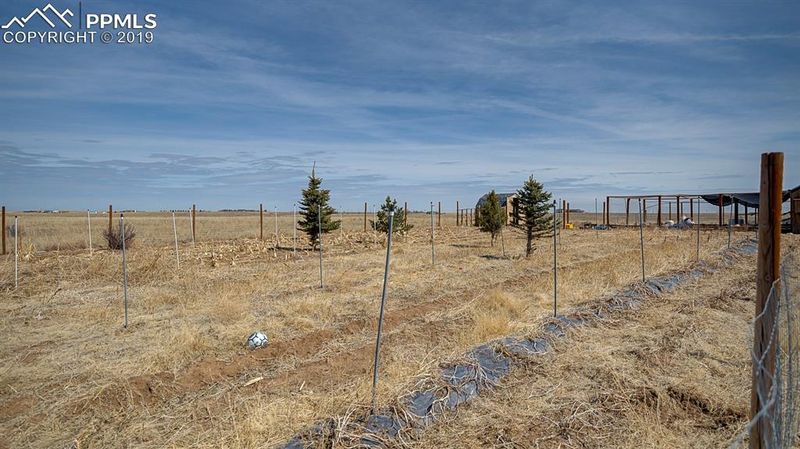 20590 Drennan Rd, Colorado Springs, CO 80928