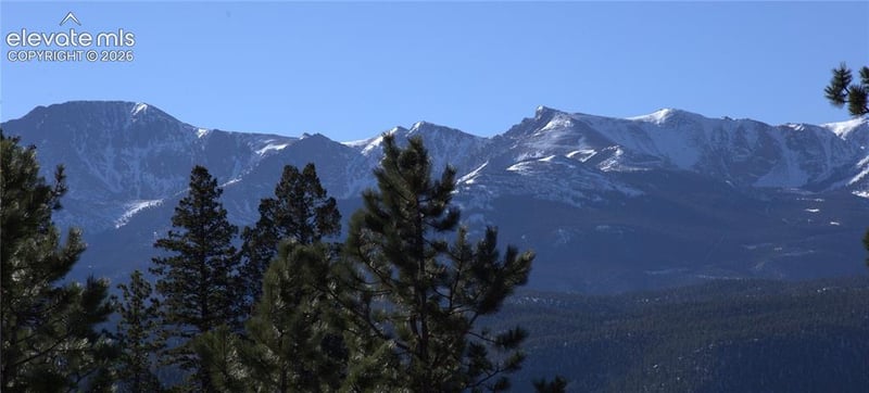 206 Eagles Perch Pl, Woodland Park, CO 80863