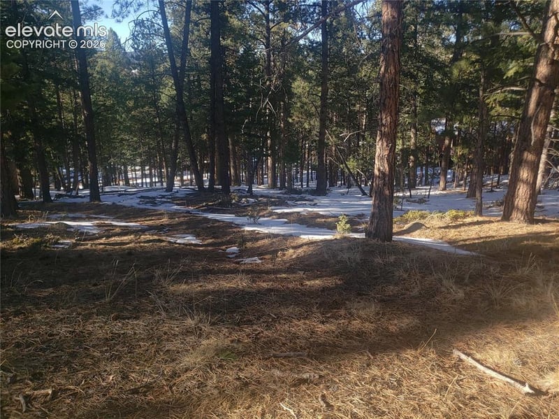 206 Eagles Perch Pl, Woodland Park, CO 80863