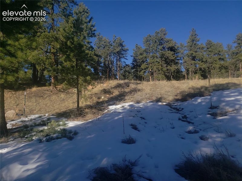 206 Eagles Perch Pl, Woodland Park, CO 80863