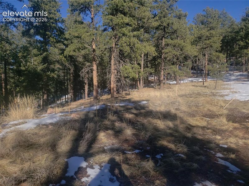 206 Eagles Perch Pl, Woodland Park, CO 80863