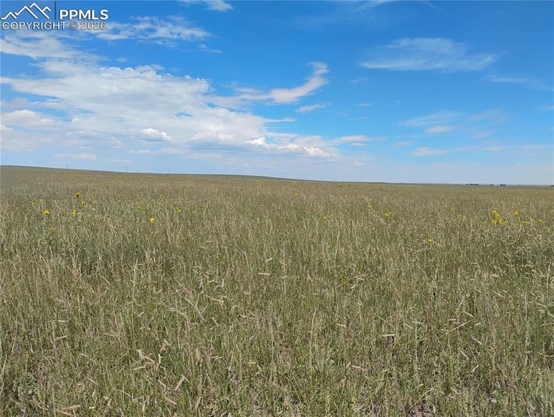 20610 Squirrel Creek Rd, Colorado Springs, CO 80928