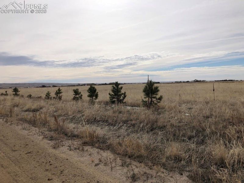 20796 Scott Rd, Peyton, CO 80831