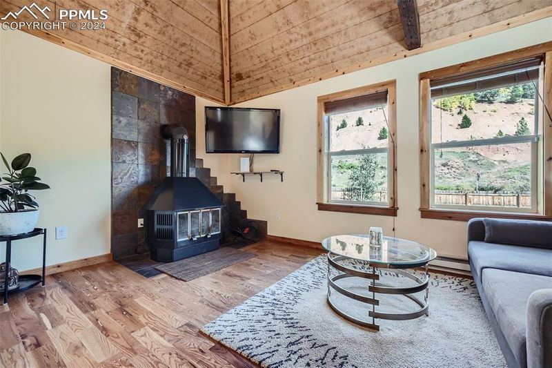 20909 Highway 67, Divide, CO 80814