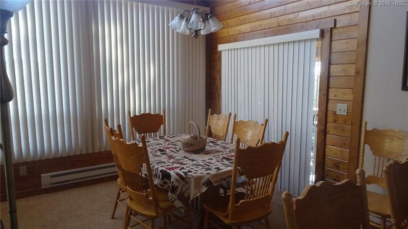 21 Blue Spruce Rd, Divide, CO 80814