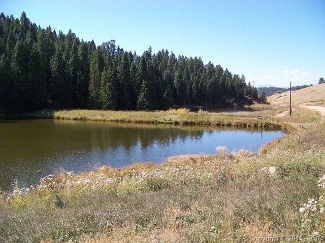21 Cooper Lake Dr, Divide, CO 80814